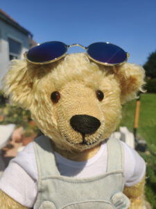 Mehr über den Artikel erfahren Brösel der Teddyreporter