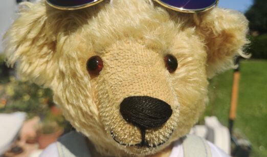 Brösel der Teddyreporter