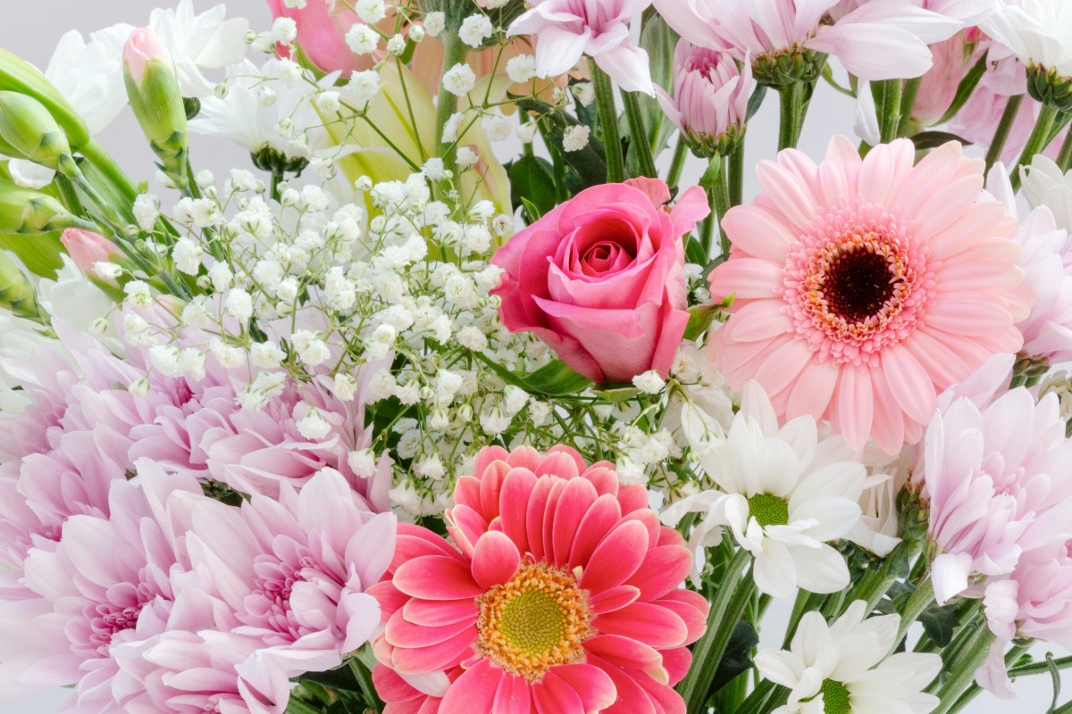 Jubilare Hauskirchen Prinzendorf Rannersdorf