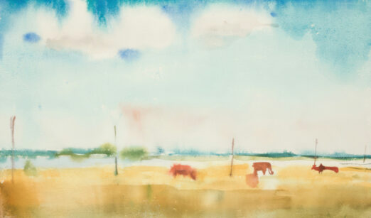 Mit dem Rad durchs Zayatal