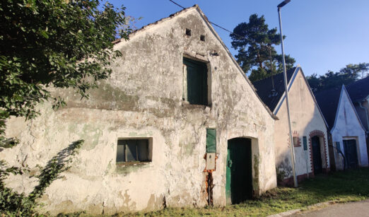 Die stillen Wächter am Kellerberg – unsere Kellerhäuser