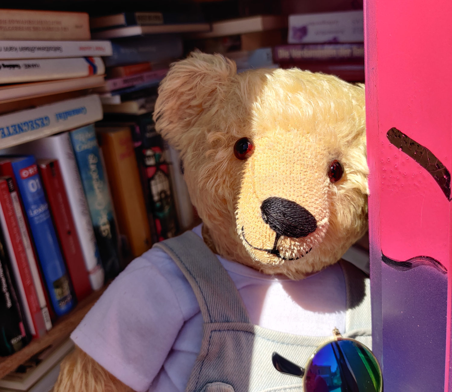 Broesel Telefonzelle Bücherschrank