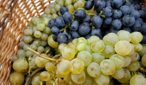 Mehr über den Artikel erfahren Traubenkompott – ein Klassiker aus Großmutters Küche