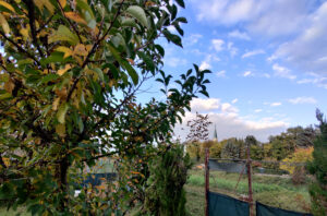 Mehr über den Artikel erfahren Wenn das Land den Atem anhält – Hauskirchen im Herbst
