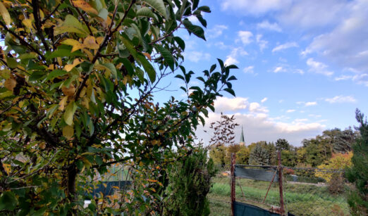 Wenn das Land den Atem anhält – Hauskirchen im Herbst