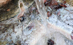 Mehr über den Artikel erfahren  Brösel und das große Gurgeln aus der Tiefe