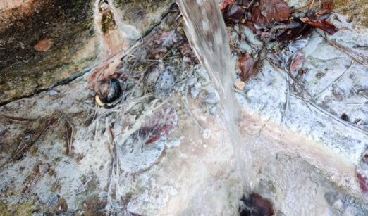  Brösel und das große Gurgeln aus der Tiefe