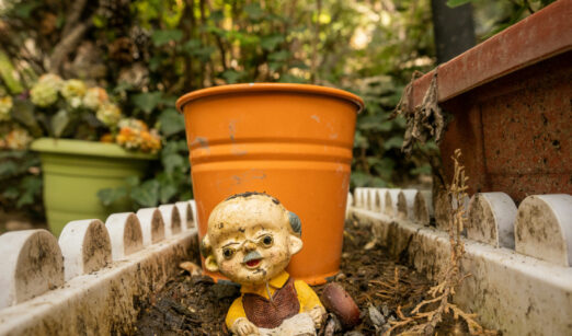 Wenn der Herbst den Garten zudeckt