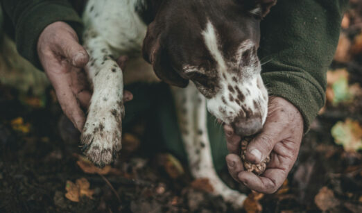 Ein Wandertag der besonderen Art