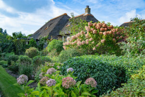 Mehr über den Artikel erfahren Bauerngarten und Cottage Garden -Zwischen Ringelblume und Rosenbogen