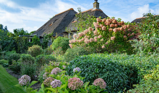 Bauerngarten und Cottage Garden -Zwischen Ringelblume und Rosenbogen