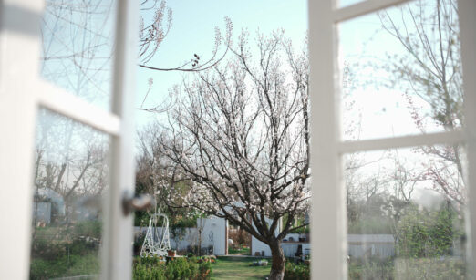 Was man jetzt besser nicht macht im Garten – April